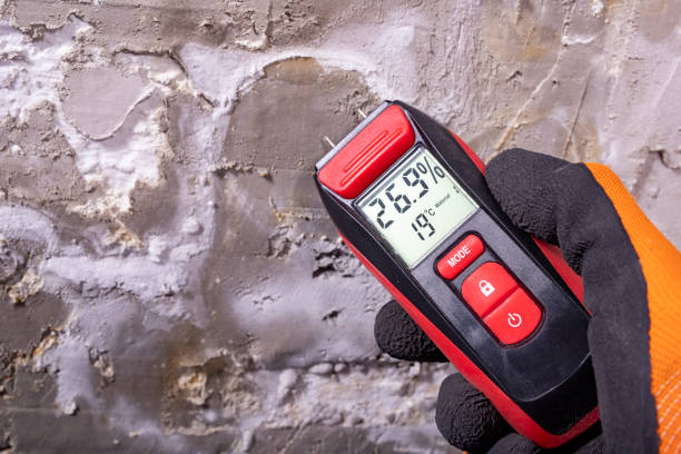 Best Localized Mold Remediation (e.g., coastal areas, humid climates) in Park Ridge, NJ