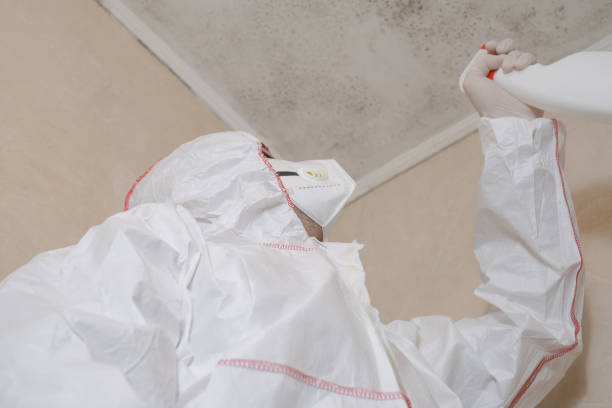 Best Mold Remediation for Specific Building Types in Park Ridge, NJ