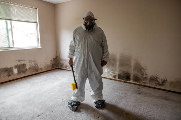 Best Bathroom Mold Remediation in Park Ridge, NJ
